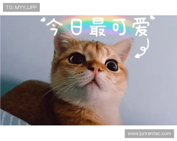 娉㈠皵鏈€鍚庝竴鑸烇紒濂ユ伆娲涘か娉埆鑰佸ぇ鍝ワ紝5000 鐞冭糠鐜板満鑷存暚浼犲 娉㈠皵鏈€鍚庝竴鑸烇紒濂ユ伆娲涘か娉埆鑰佸ぇ鍝ワ紝5000 鐞冭糠鐜板満鑷存暚浼犲